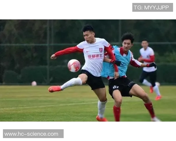 成都篮球队配合变革引发热议球迷期待新战术带来的精彩表现